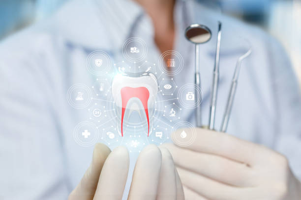 Trusted Ravenswood, WV Holistic Dental Care Services Experts